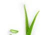 Krása a zdraví díky Aloe vera